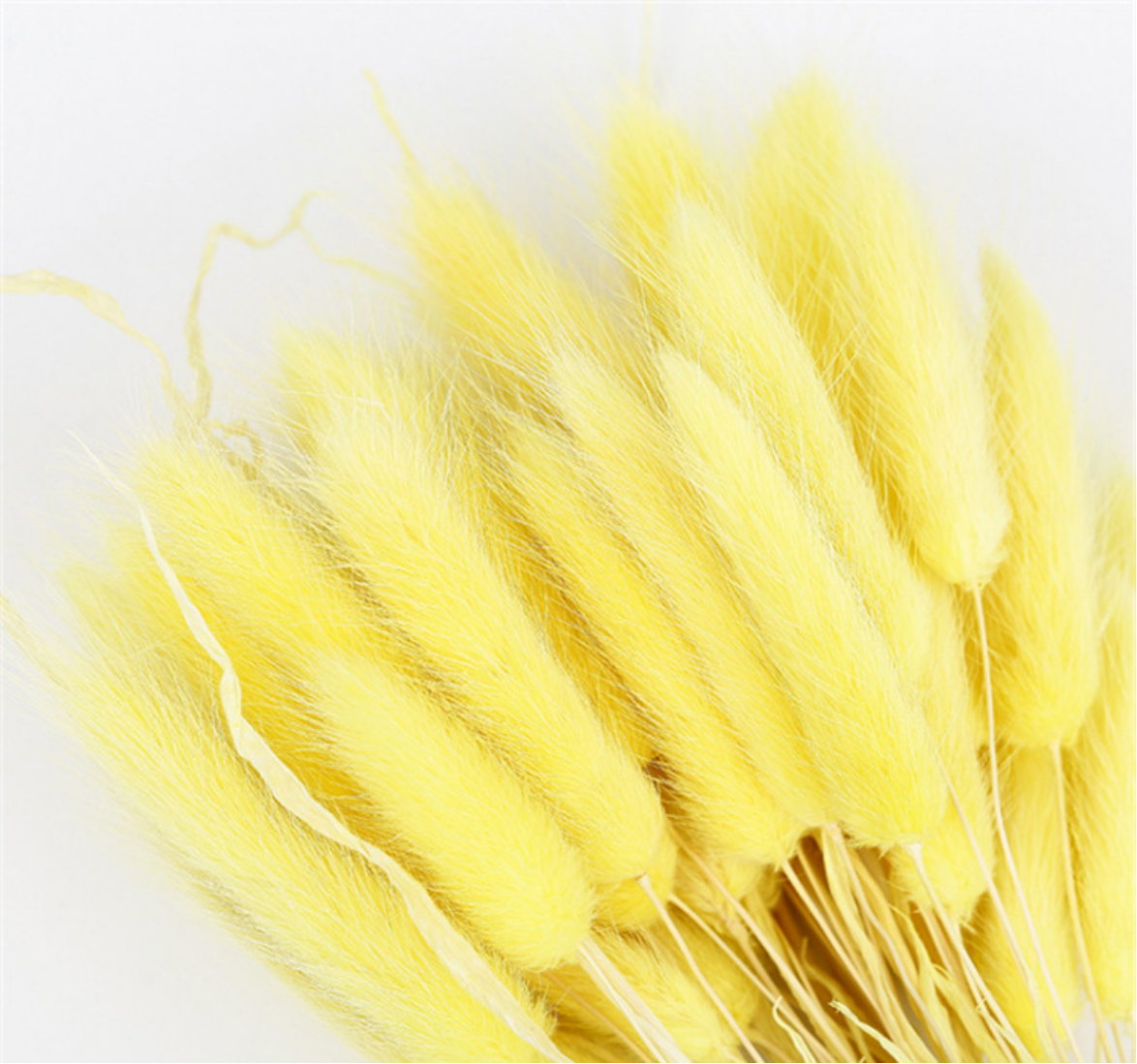 Amarillo