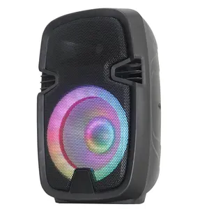 1500W 10 "Subwoofer Karaoke setzt aktiven Lautsprecher 2610L Party LED-TWS-USB SD-ECHO-Mikrofon-RC Bocina Par lante