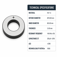 Élément transducteur ultrasonique en céramique piézoélectrique 10 * 5 * 2 mm pour détartreur dentaire, éliminateur de plaque dentaire, nettoyage buccal