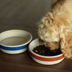 2025 yeni çevre dostu dayanıklı toksik olmayan köpek kase fantezi bambu elyaf buğday saman tasarımcı baskılı kedi köpek besleyici hayvan mama kabı - Product Image 2