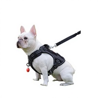 Kits de test rapide d'antigène du parvovirus canin à usage unique, certifiés CE, durée de conservation de 2 ans, MMC, vente en gros en Chine