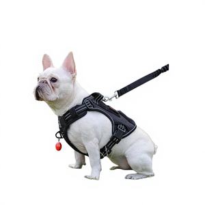 ชุดตรวจแอนติเจนพาร์โวไวรัสสุนัขแบบใช้ครั้งเดียวทิ้งสำหรับสัตวแพทย์ ผลิตในจีน ขายส่ง ได้รับการรับรองมาตรฐาน CE อายุการเก็บรักษา 2 ปี - Product Image 1