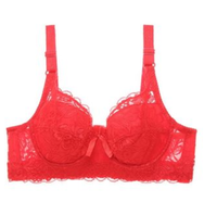KOSTENLOSE MUSTER Damen-Spitzen-BH ultimatives Heben und Unterstützen des Polster-BHs Bequemer, atmungsaktiver, sexy Spitzen-BH