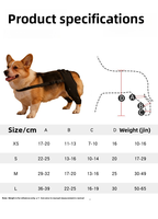 Attelle intégrée pour genou et pattes arrière de chien, stabilisateur post-opératoire pour déchirure de la LCA, enveloppe de soutien pour rééducation des blessures à la hanche du chien
