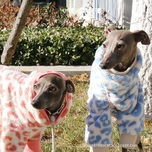 Maglione per Cani a Collo Alto con Stampa Leopardata Rosa per Levrieri e Whippet, in Velluto Felpato, Casual e Caldo per l'Inverno - Product Image 2
