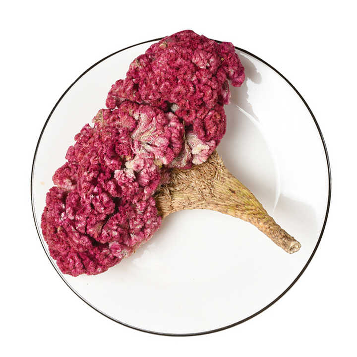 High Quality Natural Dried Cockscomb Flower White/red Celosia Cristata ...