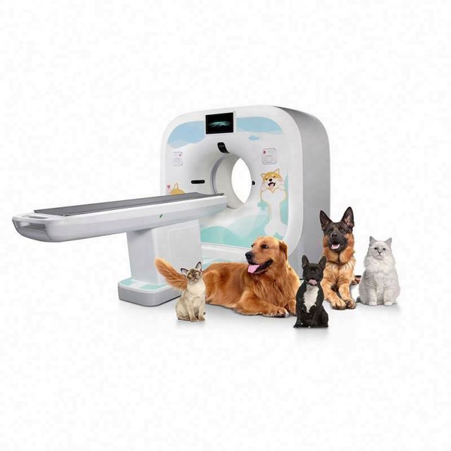 Veterinary Computer Tomography System Medical Disease Diagnosis Pet Hospital Computer Tomography Scanner Vet CT
