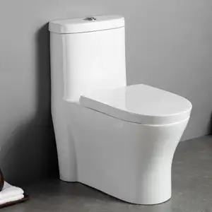 Custom Water Saving Toilet Bathroom Sanitary Ware Ceramic 1 Piece Toilet Bowl Closestool