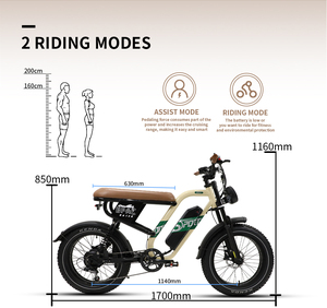 ONESPORT Vélo tout-terrain électrique hybride à batterie lithium 48V, cadre en acier et gros pneus pour adultes - Product Image 6