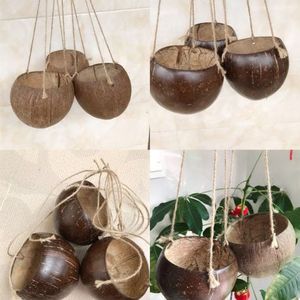 Fantaisie Minimaliste Sculpté À La Main Naturel À La Main Suspendus Coquille <span class=keywords><strong>De</strong></span> Noix <span class=keywords><strong>De</strong></span> Coco Fleur Pots <span class=keywords><strong>De</strong></span> Plantes Logo OEM pour <span class=keywords><strong>Jardin</strong></span> - Product Image 6