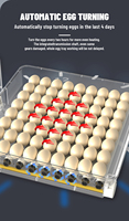 Nouvel incubateur WONEGG TW144 entièrement automatique et durable, contrôleur intelligent certifié CE, plateau d'éclosion avicole haute productivité