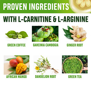 Complément alimentaire coupe-faim et stimulant métabolique à marque privée, gouttes de Garcinia Cambogia pour la perte de poids - Product Image 2