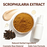 Poudre d'extrait de racine de Scrophularia ningpoensis (figwort chinois) - Rapport 10:1 - Brun clair naturel - Fourniture en vrac de plantes fines