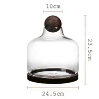 Soufflé à la main de haute qualité Micro paysage couvercle en verre dôme Vase en verre clair conteneur de plantes avec boule en bois avec base en bois