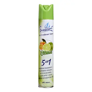 China Hot Sell Aerosol Fabrikant Fabriek Direct Deodorant Voor Auto Luchtverfrisser Wc-Bril Huis Reiniger Spray