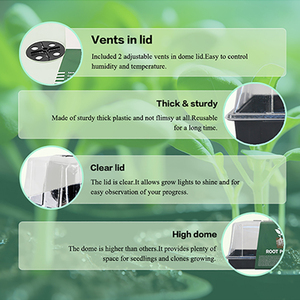 Wholesale Durable <strong>Seed</strong> Germination Box Nursery Seedling Tray Vegetable Plant Plastic Tray <strong>Seed</strong> Starting Box With <strong>Cover</strong> - Product Image 6