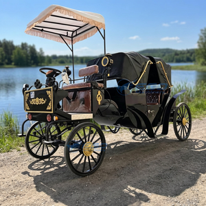 Best Selling Custom Black Electric Horse Carriage Rows Double Soft Canopy Retro Buggy For Theme Park Hotel Parade - Product Image 1