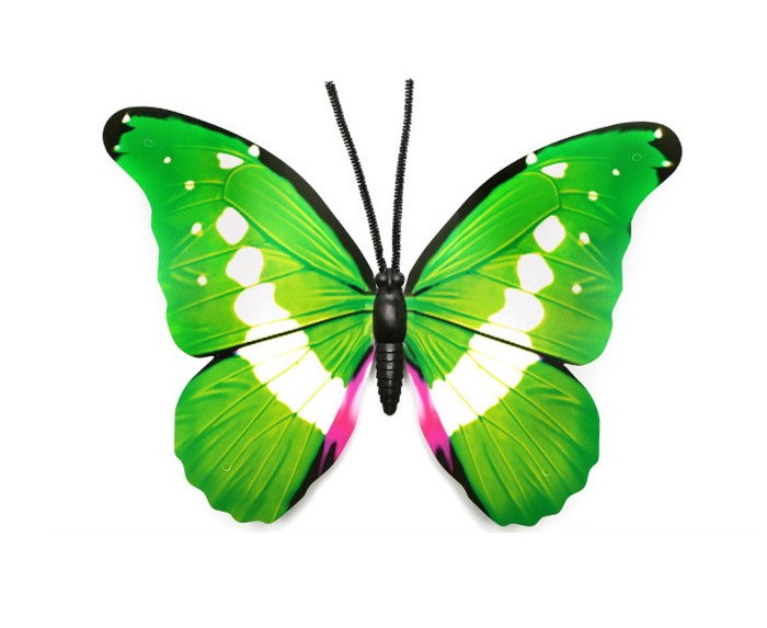 สีเขียว