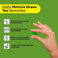 Bonbons gélifiés au thé vert brûleur de graisse Matcha (60 unités) certifiés Halal, marque privée OEM, complément coupe-faim pour femmes et hommes