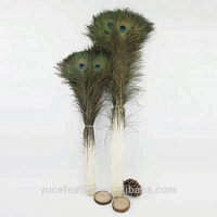 Vente en gros de plumes de queue de paon 70-80cm motif brut plume artisanat pour les spectacles carnavals arrangements floraux