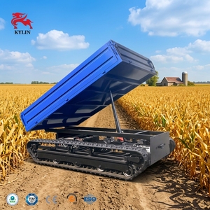 Mini Dumper Cingolato in Acciaio, Veicolo Elettrico Cingolato per Ogni Terreno, Autonomo, con 2 Anni di Garanzia per l'Agricoltura - Product Image 1