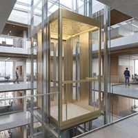 Ascensore Domestico in Vetro Dorato Personalizzato, Produttore di Ascensori di Lusso per Ville con Illuminazione LED, Vendita Diretta dalla Fabbrica OEM