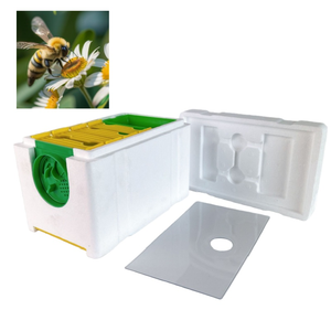 Outils d'apiculture modernes pour l'élevage des reines et les accessoires de pollinisation et de récolte - Product Image 1