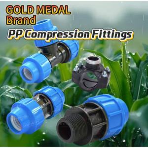 Région SADC PN16 HDPE Raccords de compression Irrigation 20-110mm (1/2INCH-4INCH) Adaptateur mâle PP/PE pour pompe à eau solaire - Product Image 4