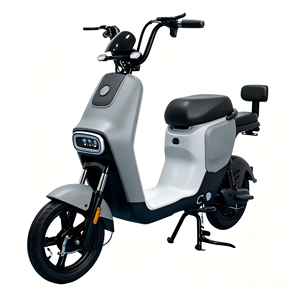 Bicicleta Eléctrica con Llantas Gruesas <span class=keywords><strong>para</strong></span> Adultos, Precio de Fábrica, Batería Integrada de Plomo-Ácido de 48V, Motor sin Escobillas de 500W, Venta al Por Mayor - Product Image 1