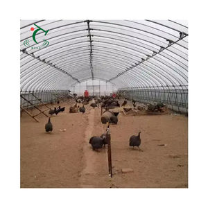 Ganado Casa verde Estructura <span class=keywords><strong>de</strong></span> acero Granja <span class=keywords><strong>de</strong></span> pollos Invernadero <span class=keywords><strong>de</strong></span> aves <span class=keywords><strong>de</strong></span> corral Película plástica Túnel único Invernadero <span class=keywords><strong>de</strong></span> cría ecológica - Product Image 6
