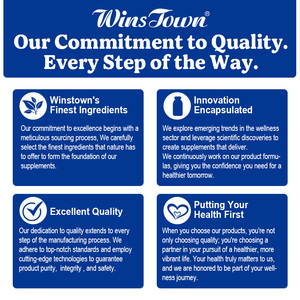 Tabletas Wins Town Liver Aid, Suplemento Natural Premium para la Salud del Hígado, Apoyo para la Desintoxicación del Hígado, Suplementos Diarios Suaves para la Salud - Product Image 4