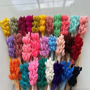 Hierba de gemas reales para arreglos florales y bodas/Fabricación de ramos de flores secas <span class=keywords><strong>Phalaris</strong></span> para decoraciones del hogar y de Graduación - Product Image 6