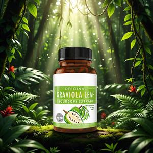 Extracto de Hoja de Guayaba (Graviola) Natural, Suplemento Energético para Adultos, Cápsulas de Pullulan para el Bienestar Diario - Product Image 6