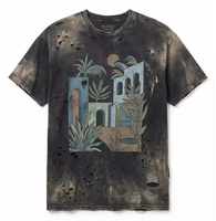 T-shirt Homme Vintage Délavé à l'Acide, Imprimé Intégral Motif Cactus et Bâtiments Méditerranéens, Effet Usé et Déchiré