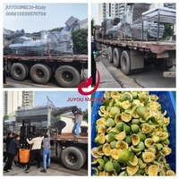 Juyou Hoge Efficiëntie Passievruchtenpulp Zaadafscheider Machine Passievrucht Pulpmachine Fruitpulp Zaadafscheider