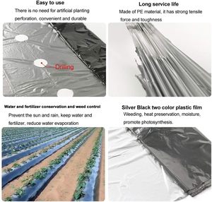 Film de paillage agricole réfléchissant noir/argent 100% PE vierge, barrière anti-mauvaises herbes, couverture de sol, service de découpe - Product Image 3