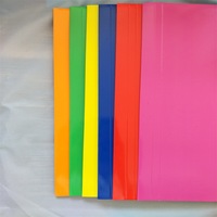 Carpeta de Archivo Multicolor de Plástico A4, Carpeta de Plástico para Empaque con Cuerda Elástica, Carpeta para Documentos