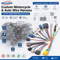 Konektor BeiXing 1-50 Pin, Kabel Perakitan Peralatan Sepeda Motor, Kabel Harness Otomatis, Manufaktur Perakitan OEM/ODM