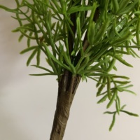 K-1002 45cm Faux Fougère Asperge Effet Naturel, Lot de Plantes Artificielles Vertes en Gros pour Décoration Mariage, Maison et Jardin