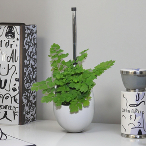 2025 New Factory Garden Indoor Outdoor Ceramic <strong>Vase</strong> Decoration Home <strong>Vases</strong> Decor Modern Ceramic <strong>Flower</strong> <strong>Vases</strong> - Product Image 4