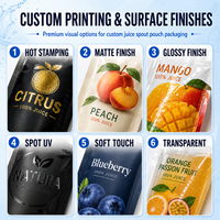 Sachets transparents pour cocktails avec bouchon verseur, anti-fuite, pochettes souples verticales pour vin, cocktails, jus et autres boissons (Doypack)