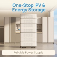 Sistema de Almacenamiento de Energía de Litio-Ferrofosfato (LiFePO4) de Alto Voltaje para Interiores, 112KWH, 358.4V, 314Ah, en Gabinete con 7 Módulos de 16KWH, para Energía Solar Industrial y Comercial Fuera de la Red