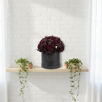 Roses stabilisées éternelles personnalisées avec logo, dans une boîte ronde, carrée ou en forme de cœur, pour un cadeau de la Saint-Valentin