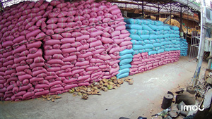 Coco Peat Lavado en Bolsa de 20 kg, Fibra de Coco Natural, Sustrato de Cultivo de 100 L, Tierra Artificial para Horticultura y Agricultura - Product Image 5
