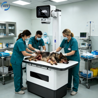 Unité de radiographie vétérinaire portable VET 32kW pour animaux de compagnie