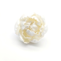 Diffuseur de parfum en roseau écologique de taille personnalisée 6 cm 8 cm, fleur en bois de sola