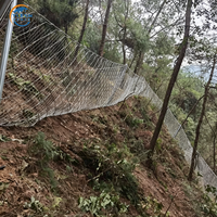 Filet de protection flexible en câble d'acier galvanisé pour la protection des pentes contre les chutes de pierres et les débris, pour routes montagneuses