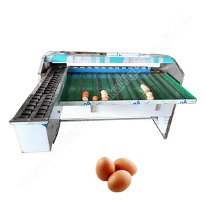 Máquina de clasificación de huevos 5400 unids/hora, gran oferta, máquina graduadora de huevos, clasificadora de huevos a la venta