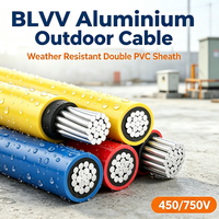 Witterungsbeständiges BLVV Aluminiumkabel Einadrig für Außeninstallation