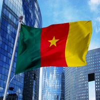 Drapeau du Cameroun promotionnel 3x5 pieds 100% Polyester avec œillets en laiton Livraison rapide 48h pour l'agence de voyage automobile